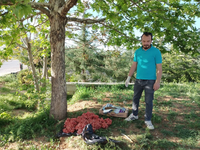 Doğadaki Can dostlarımızı unutmadık